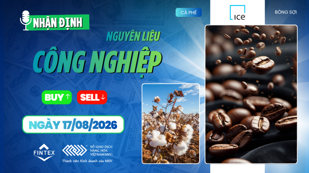 Nhận định thị trường nguyên liệu công nghiệp ngày 17/08/2026 – Cà phê, ca cao, đường và bông