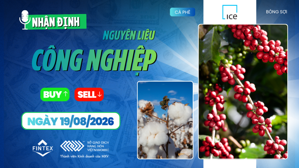 Nhận định thị trường nguyên liệu công nghiệp ngày 19/08/2026 – Cà phê, ca cao, đường và bông
