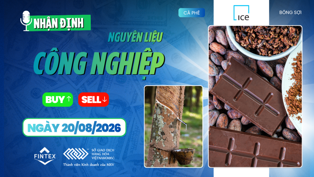 Nhận định thị trường nguyên liệu công nghiệp ngày 20/08/2026 – Cà phê, ca cao, đường và bông