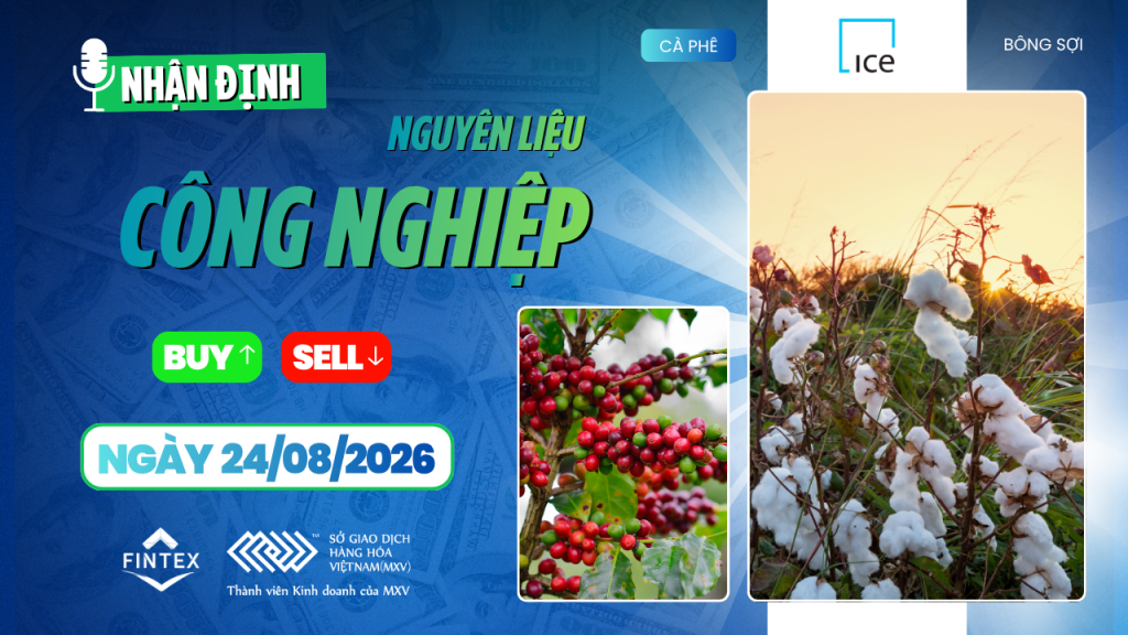 Nhận định thị trường nguyên liệu công nghiệp ngày 24/08/2026 – Cà phê, ca cao, đường và bông