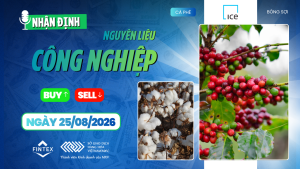 Nhận định thị trường nguyên liệu công nghiệp ngày 25/08/2026 – Cà phê, ca cao, đường và bông