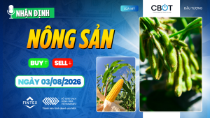 Nhận định thị trường nông sản ngày 03/08/2026: Đậu tương và ngô chịu áp lực, lúa mì giữ lợi thế trước báo cáo USDA.