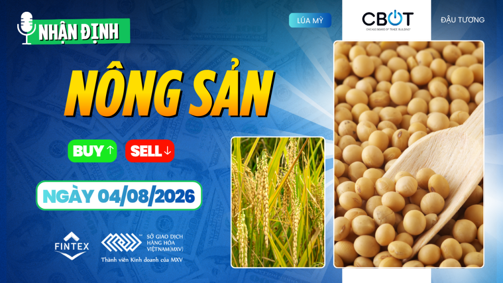 Nhận định thị trường nông sản ngày 04/08/2026: Đậu tương được hỗ trợ bởi lực mua từ Trung Quốc, ngô chịu áp lực mùa vụ, lúa mì giữ ổn định.