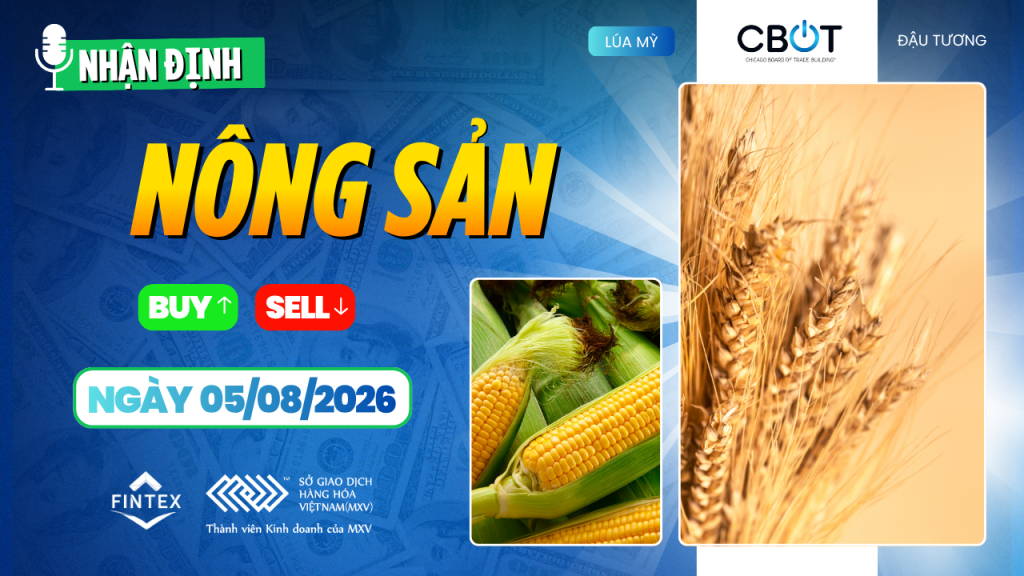 Nhận định thị trường nông sản ngày 05/08/2026: Đậu tương được hỗ trợ bởi lực mua từ Trung Quốc, ngô chịu áp lực mùa vụ, lúa mì giữ ổn định.