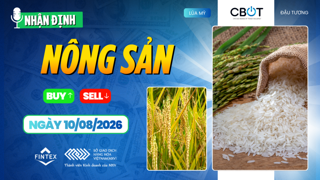 Nhận định thị trường nông sản ngày 10/08/2026: Ngô, đậu tương chờ WASDE, lúa mì được hỗ trợ