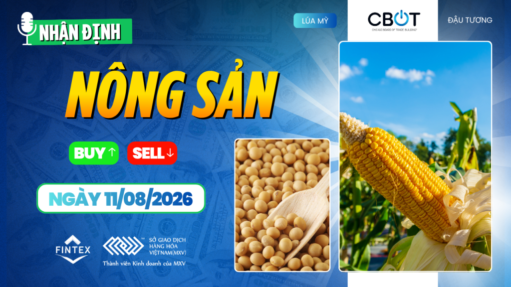 Nhận định thị trường nông sản ngày 11/08/2026: Đậu tương, ngô và lúa mì