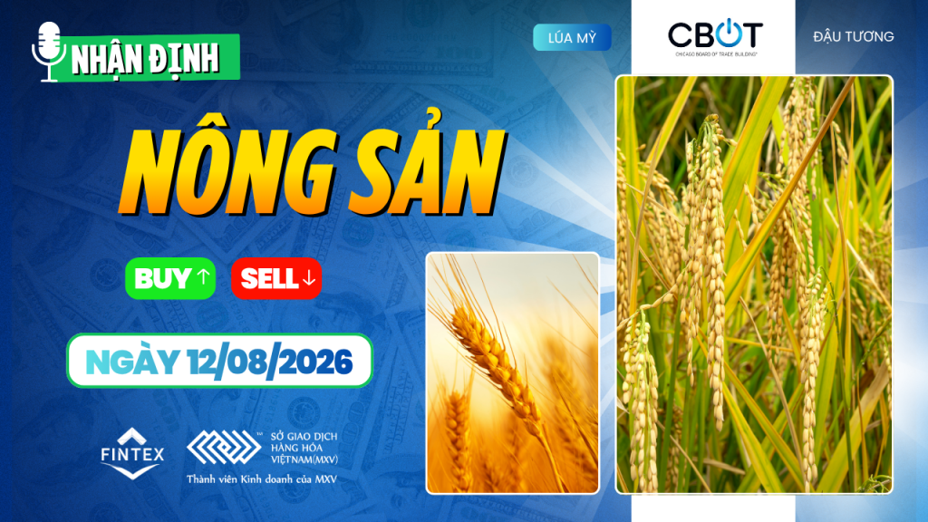 Nhận định thị trường nông sản ngày 12/08/2026: Ngô, đậu tương chờ WASDE, lúa mì được hỗ trợ