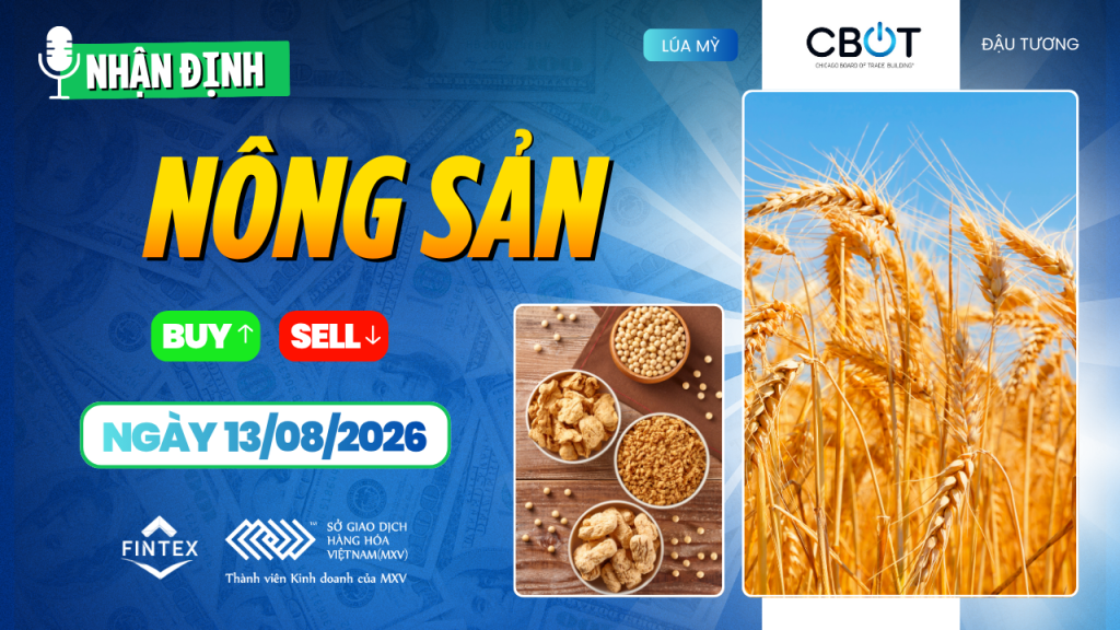 Nhận định thị trường nông sản ngày 13/08/2026: Ngô và lúa mì tăng sau WASDE, đậu tương được hỗ trợ