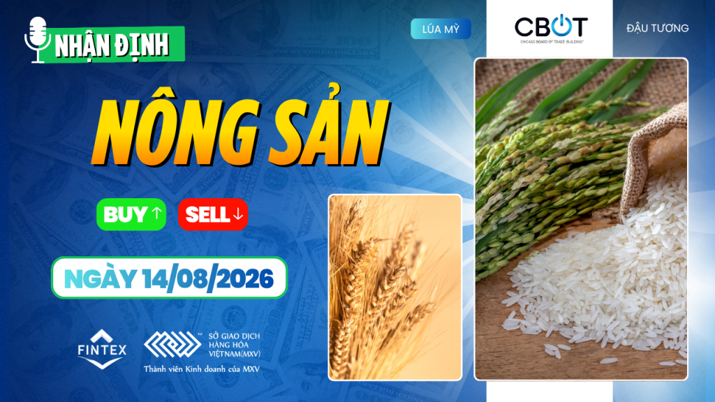 Nhận định thị trường nông sản ngày 14/08/2026: Lúa mì tích cực, ngô điều chỉnh, đậu tương giằng co