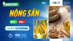 Nhận định thị trường nông sản ngày 19/08/2026: Đậu tương tăng, ngô chờ Crop Tour, lúa mì được hỗ trợ