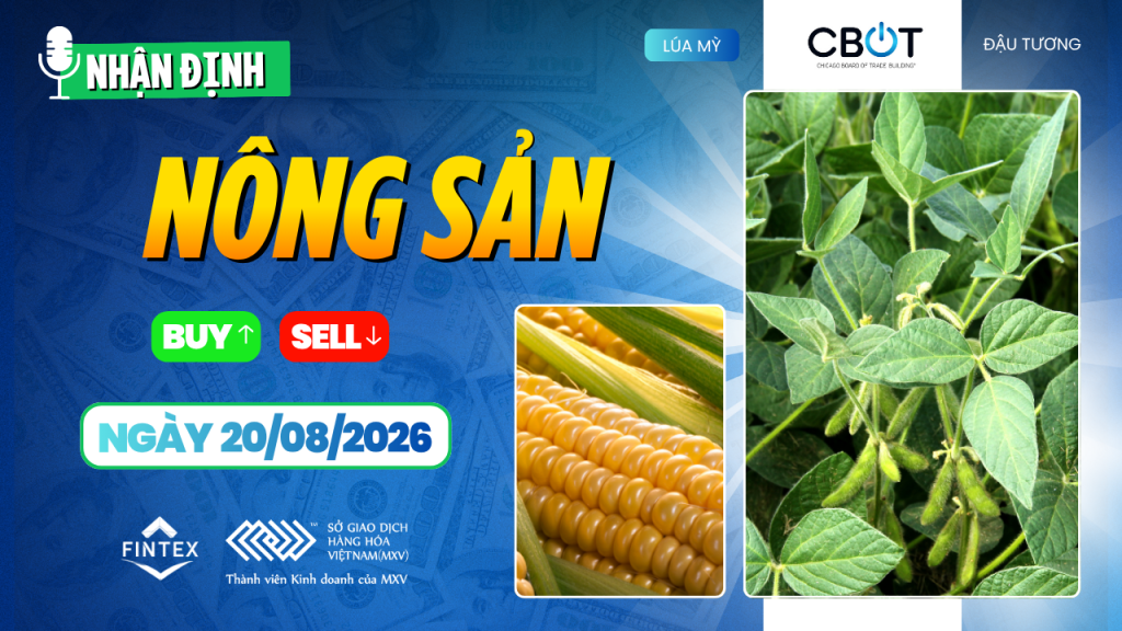 Nhận định thị trường nông sản ngày 20/08/2026: Đậu tương, ngô và lúa mì