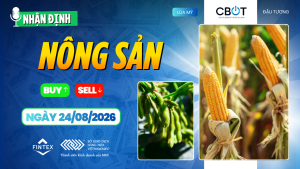 Nhận định thị trường nông sản ngày 24/08/2026: Ngô tăng, đậu tương và lúa mì