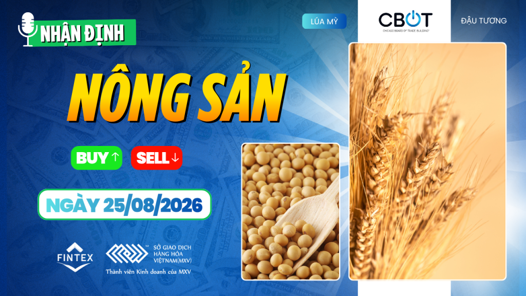 Nhận định thị trường nông sản ngày 25/08/2026: Ngô tăng, đậu tương và lúa mì