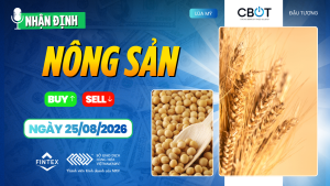 Nhận định thị trường nông sản ngày 25/08/2026: Ngô tăng, đậu tương và lúa mì