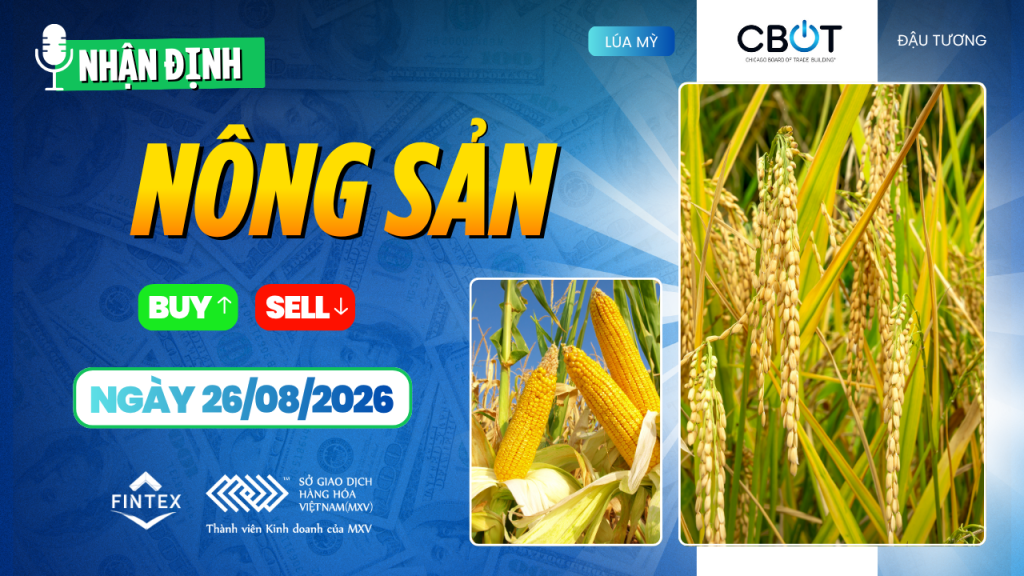 Nhận định thị trường nông sản ngày 26/08/2026: Ngô tăng, đậu tương và lúa mì