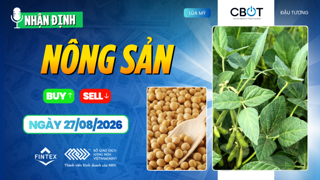 Nhận định thị trường nông sản ngày 27/08/2026: Ngô lập đỉnh, đậu tương tăng, lúa mì được hỗ trợ