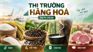 Thị trường hàng hóa ngày 14/09/2026 giá tiêu heo hơi cao su gạo