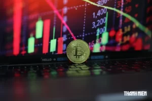 Giá Bitcoin hôm nay 23/09/2026 trên 86.000 USD và tín hiệu mùa altcoin
