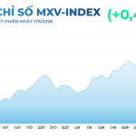 Giá cao su hôm nay 8/9/2026 tăng mạnh, dầu Brent lên 97 USD
