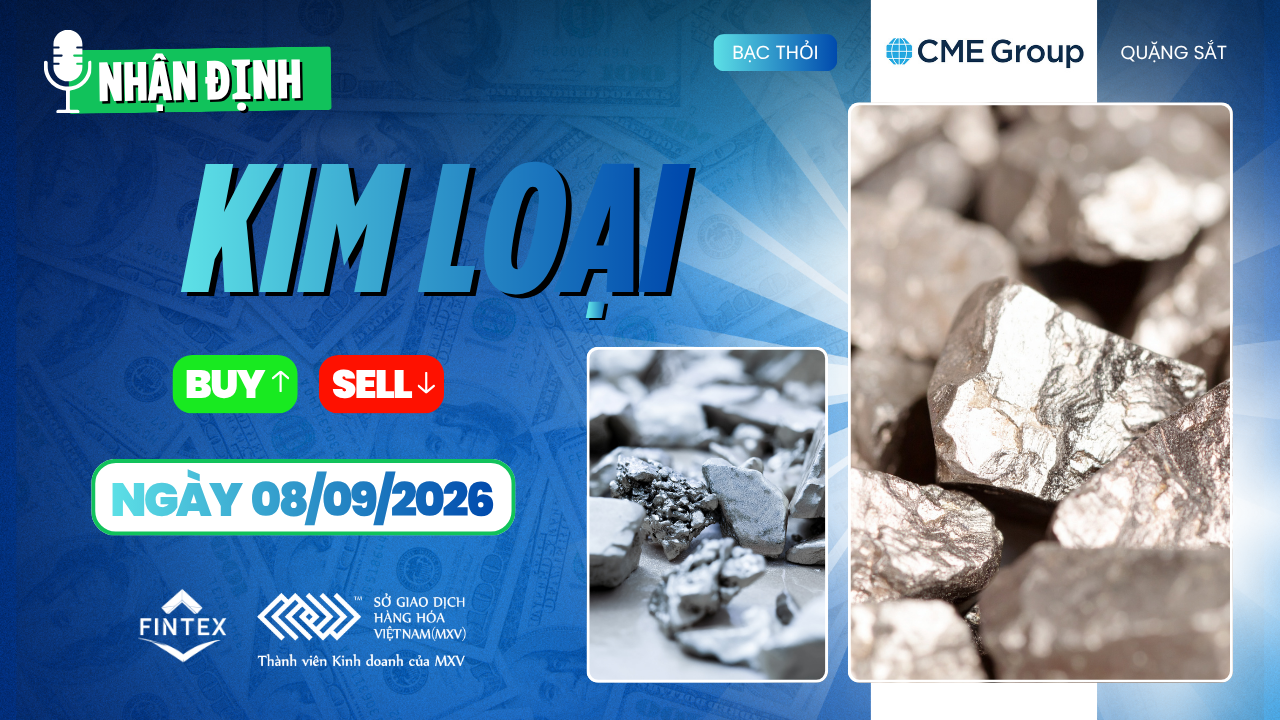 Nhận định thị trường kim loại ngày 08/09/2026