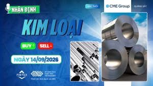 Nhận định thị trường kim loại ngày 14/09/2026
