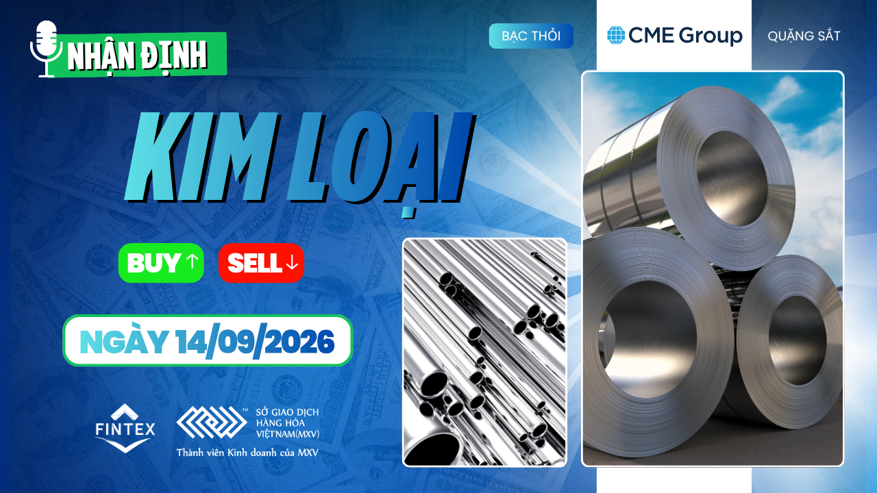 Nhận định thị trường kim loại ngày 14/09/2026