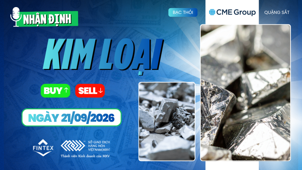 Nhận định thị trường kim loại 21/09/2026 – Vàng, Bạc, Đồng, Quặng sắt