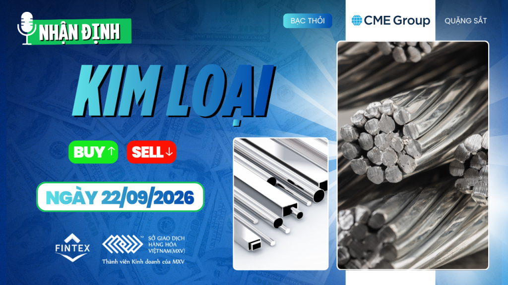 Nhận định thị trường kim loại 22/09/2026 – Vàng, Bạc, Đồng, Quặng sắt