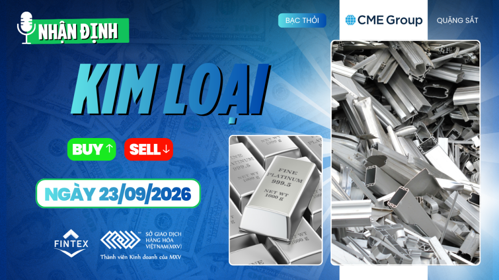Nhận định thị trường kim loại 23/09/2026 – Vàng, Bạc, Đồng, Quặng sắt