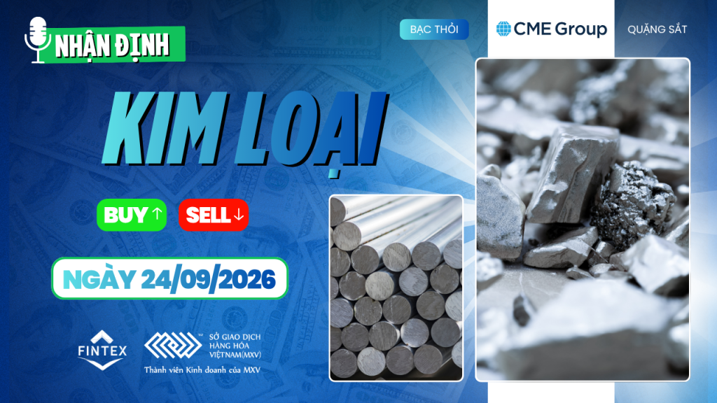 Nhận định thị trường kim loại 24/09/2026 – Vàng, Bạc, Đồng, Quặng sắt