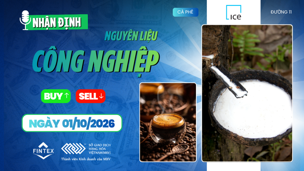 Nhận định thị trường nguyên liệu công nghiệp ngày 01/10/2026