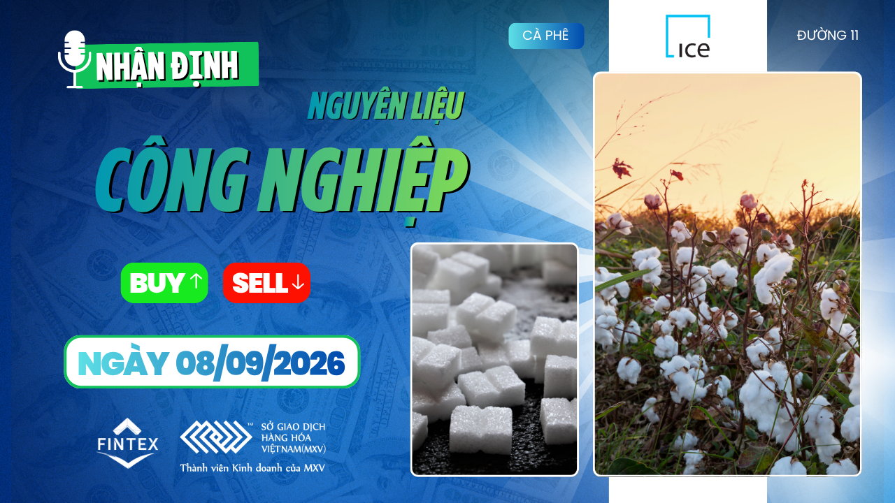 Nhận định thị trường nguyên liệu công nghiệp ngày 08/09/2026 – Cà phê ca cao đường bông