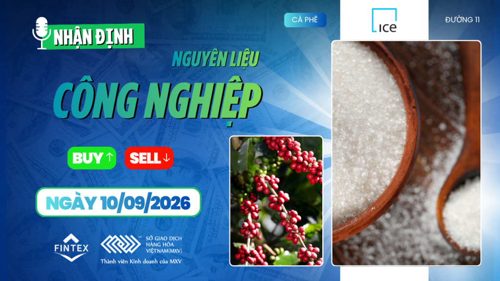 Nhận định thị trường nguyên liệu công nghiệp 10/09/2026