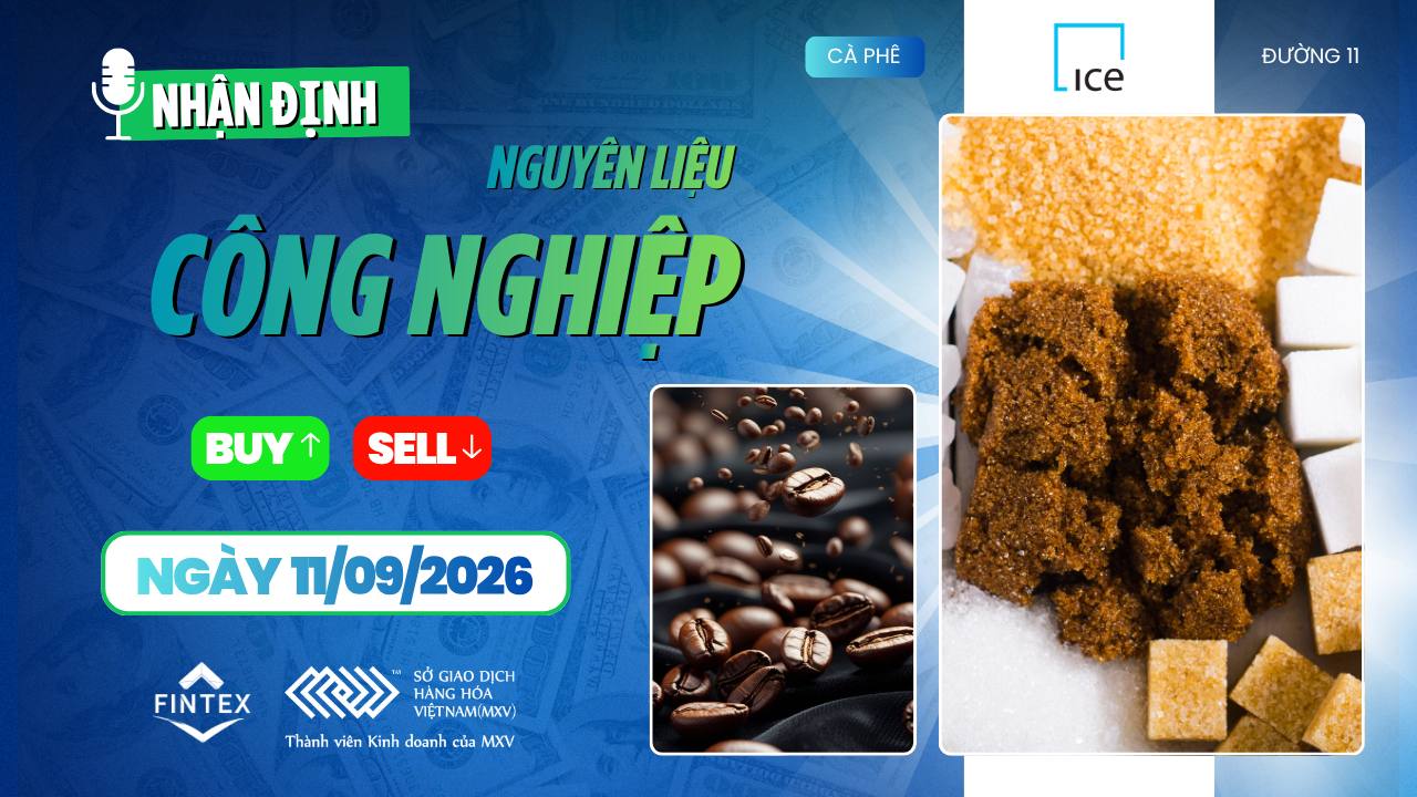 Nhận định thị trường nguyên liệu công nghiệp 11/09/2026