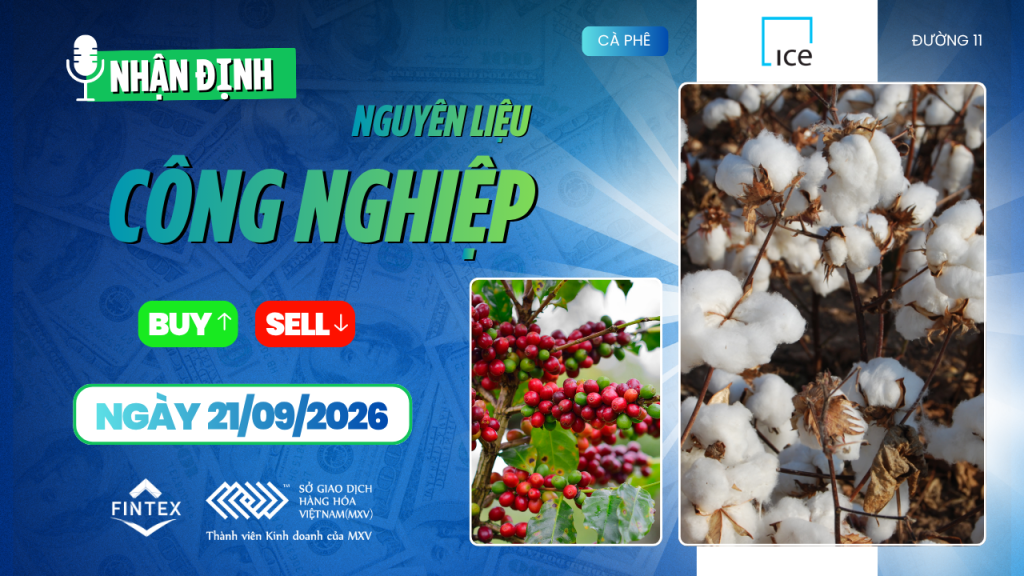 Nhận định thị trường nguyên liệu công nghiệp 21/09/2026