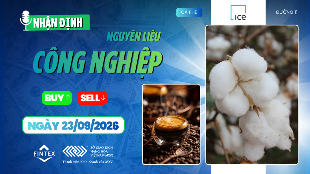 Nhận định thị trường nguyên liệu công nghiệp 23/09/2026