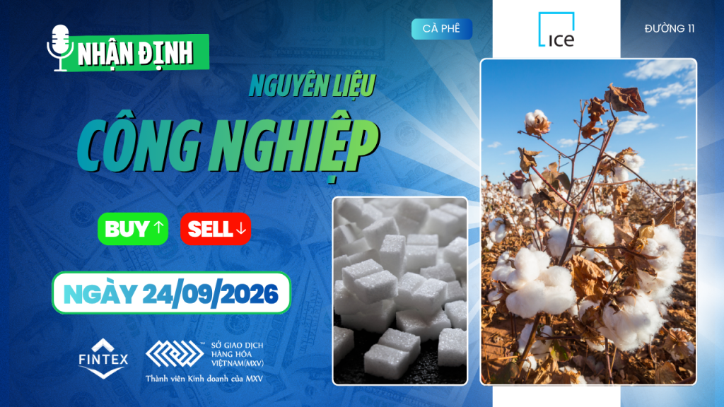 Nhận định thị trường nguyên liệu công nghiệp 24/09/2026