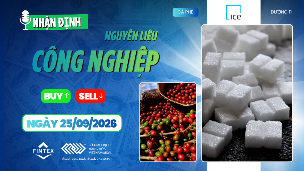 Nhận định thị trường nguyên liệu công nghiệp 25/09/2026