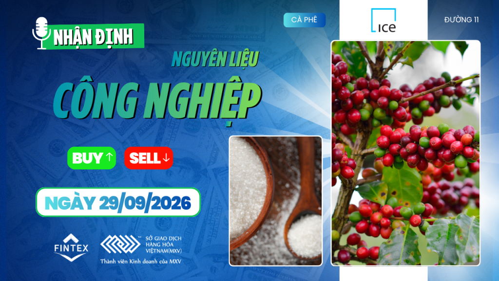 Nhận định thị trường nguyên liệu công nghiệp ngày 29/09/2026