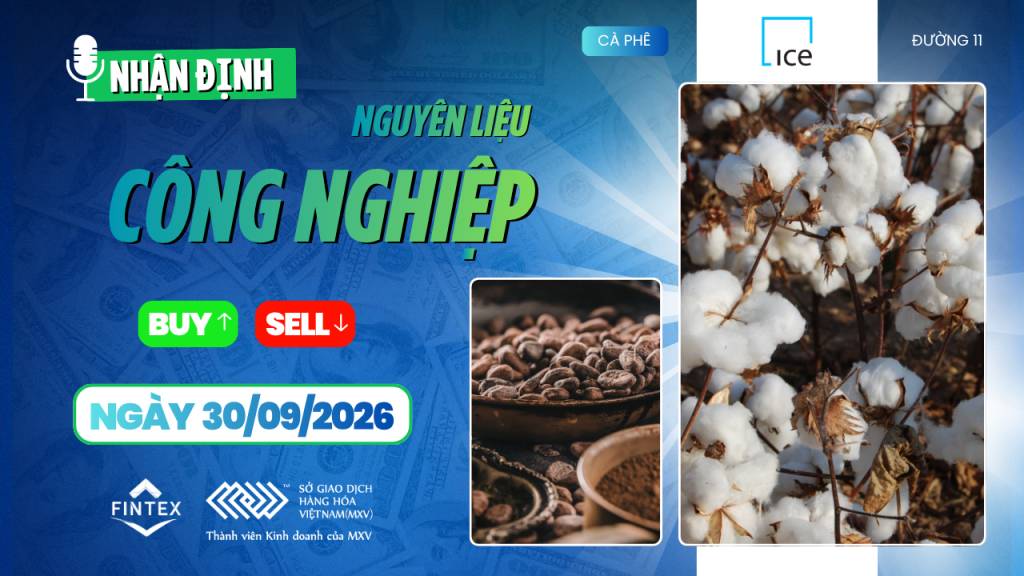Nhận định thị trường nguyên liệu công nghiệp ngày 30/09/2026