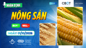 Nhận định thị trường nông sản ngày 01/10/2026: ngô, đậu tương và lúa mì
