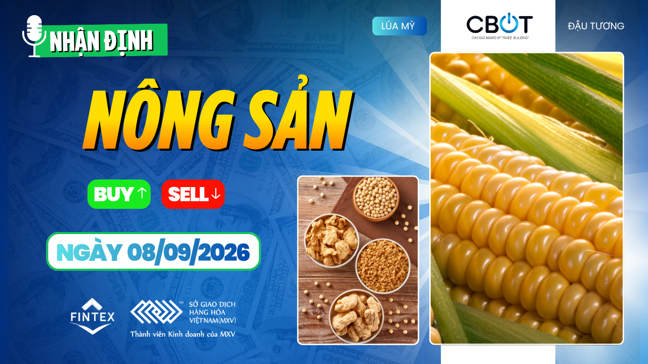 Nhận định thị trường nông sản 08/09/2026