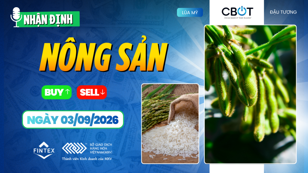 Nhận định thị trường nông sản 03/09/2026