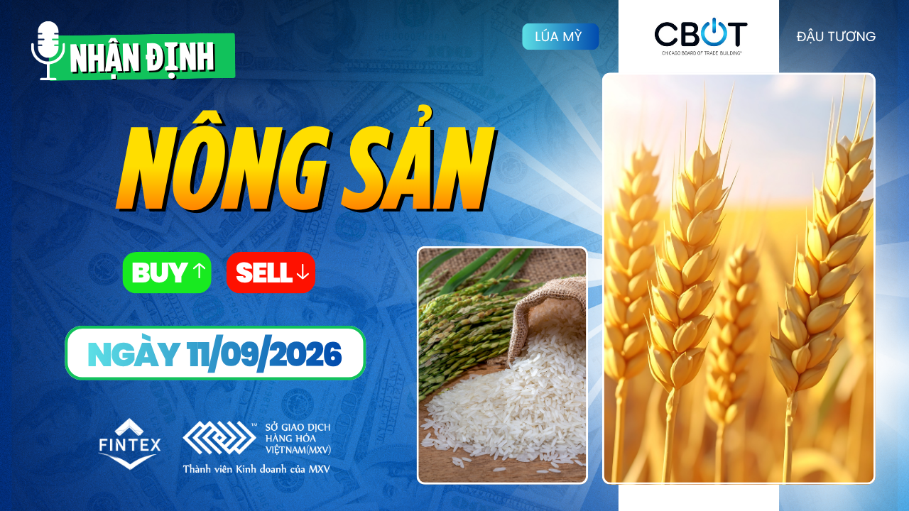 Nhận định thị trường nông sản ngày 11/09/2026 – Ngô, đậu tương, lúa mì