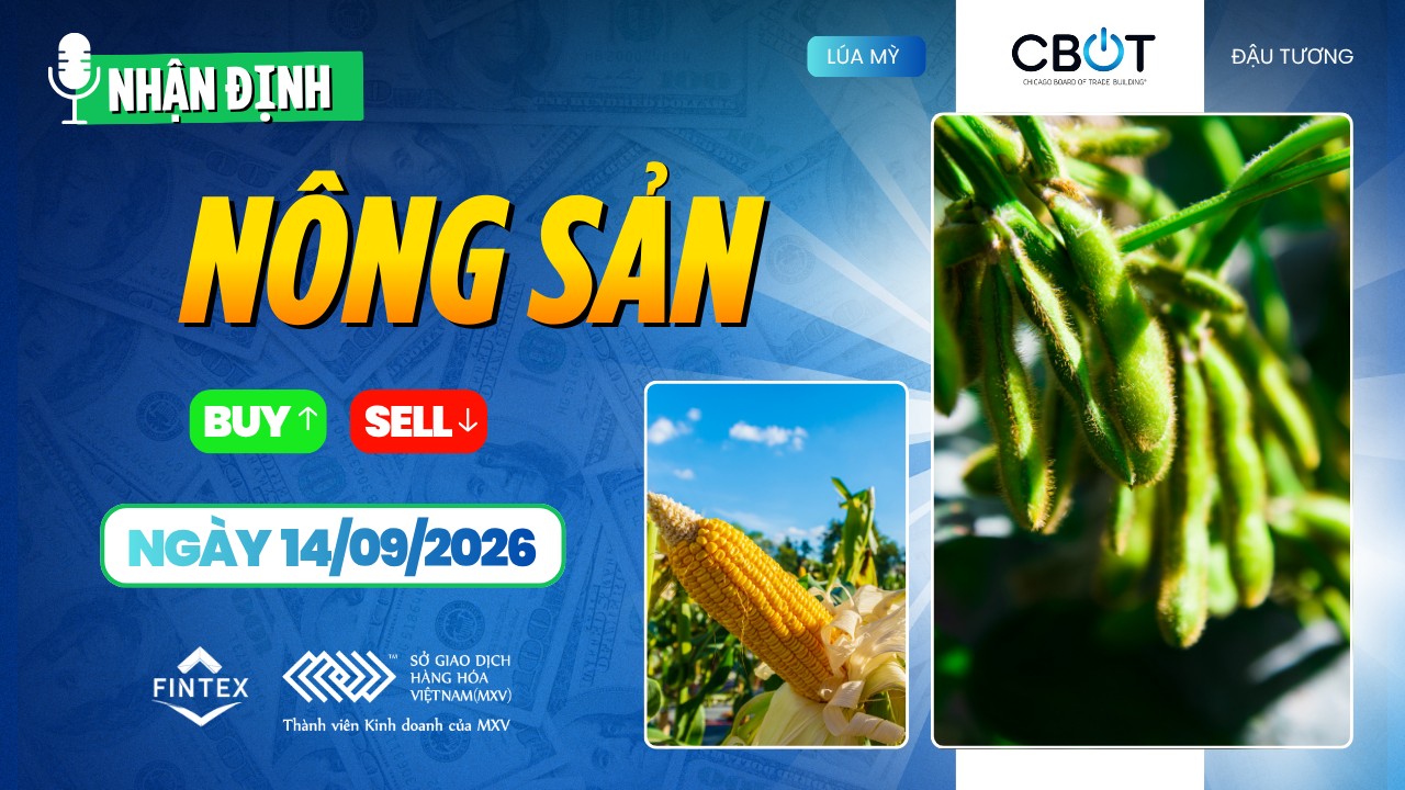 Nhận định thị trường nông sản ngày 14/09/2026 – Ngô, đậu tương và lúa mì