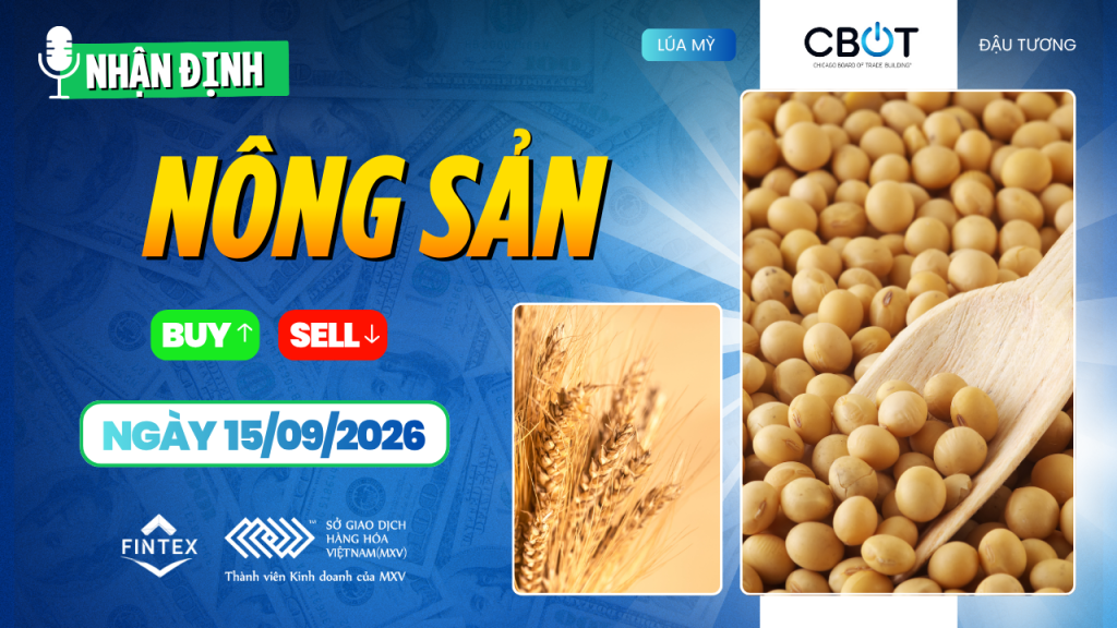 Nhận định thị trường nông sản ngày 15/09/2026 – Ngô, đậu tương và lúa mì