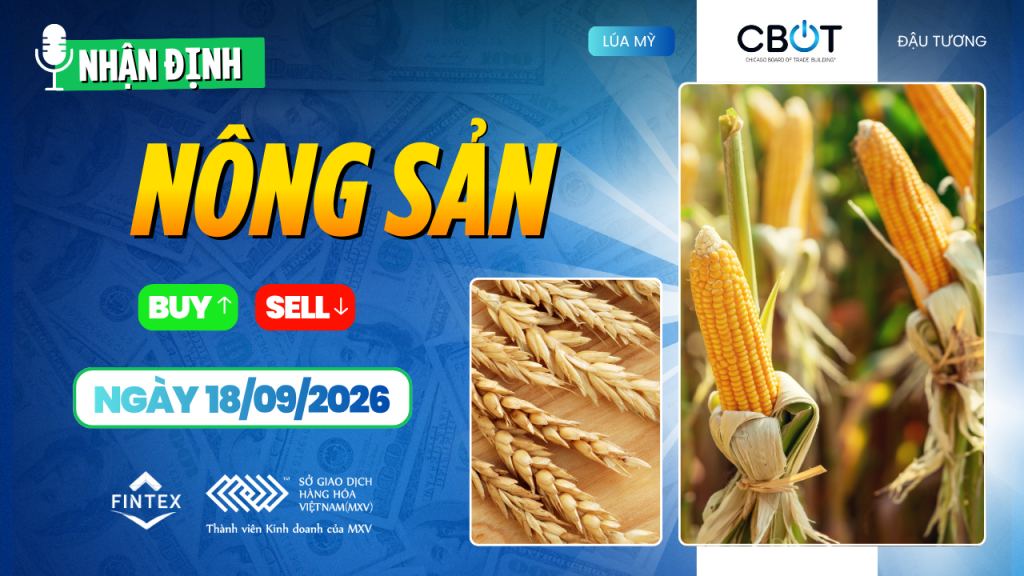 Nhận định thị trường nông sản ngày 18/09/2026 – ngô, đậu tương và lúa mì