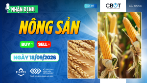 Nhận định thị trường nông sản ngày 18/09/2026 – ngô, đậu tương và lúa mì