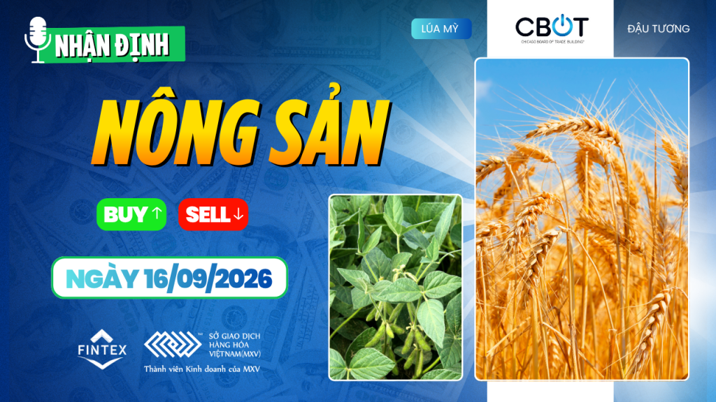 Nhận định thị trường nông sản ngày 16/09/2026 – Ngô, đậu tương và lúa mì