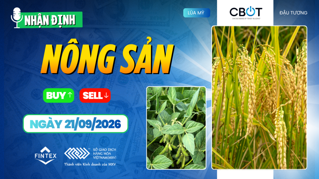 Nhận định thị trường nông sản ngày 21/09/2026 – ngô, đậu tương và lúa mì